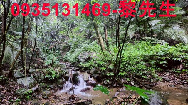 新竹橫山林地-7