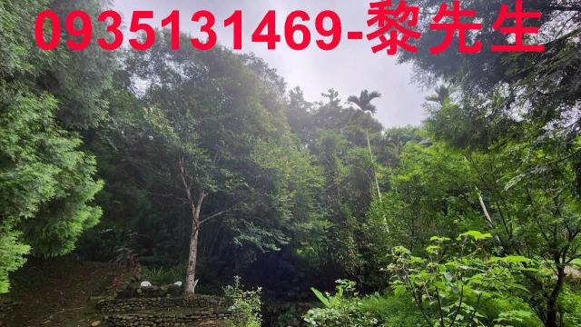新竹橫山林地-9