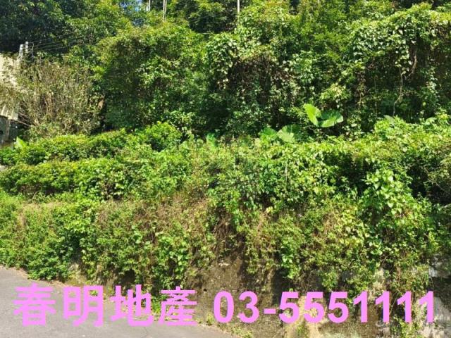 芎林農地-0