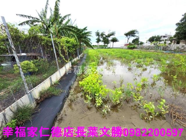 台南農地-15