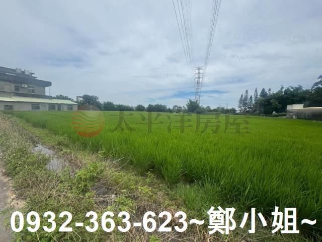 桃園農地_建地-10