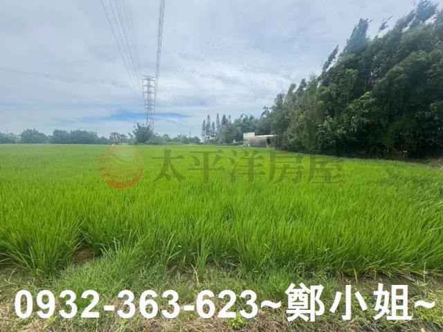 桃園農地_建地-11