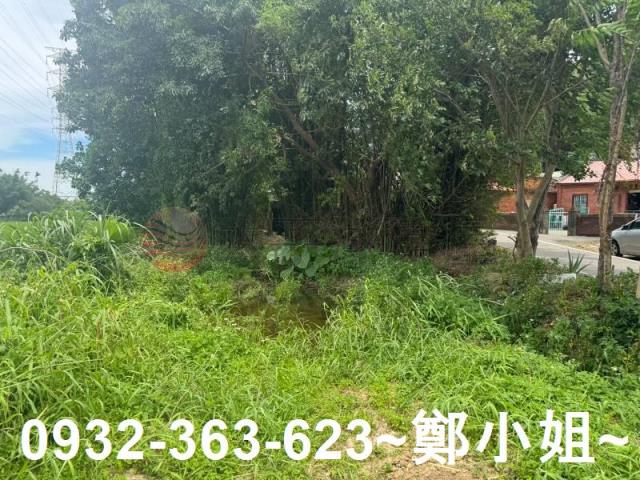 桃園農地_建地-12