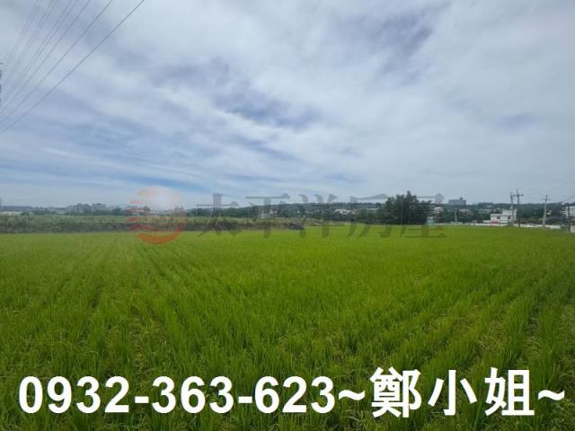 桃園農地_建地-8