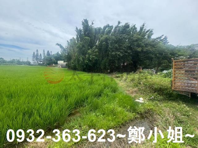 桃園農地_建地-9