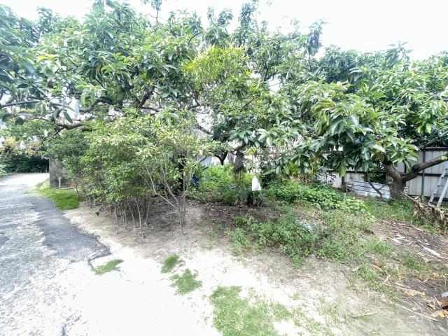 台南建地-10