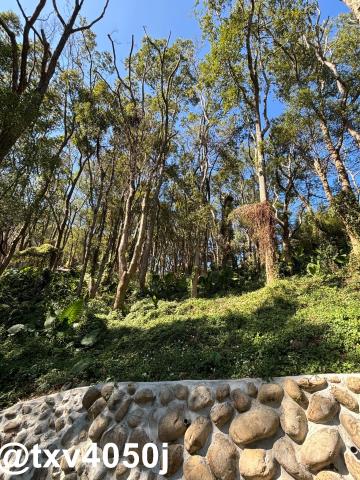 台中農地_建地-2