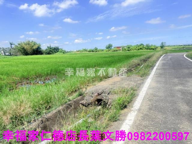 台南柳營農地-10