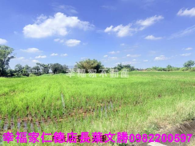 台南柳營農地-15