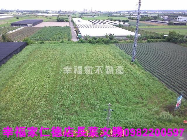 台南新市農地-10