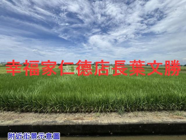 台南佳里農地-7