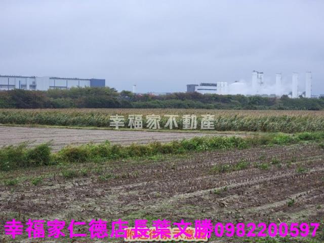 台南新市農地-4
