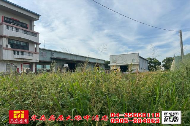 台中大雅農地-1