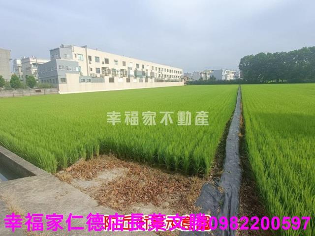 台南六甲農地-9