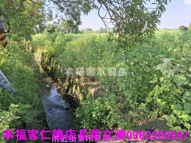 台南新化農地-13