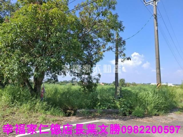 台南新化農地-3