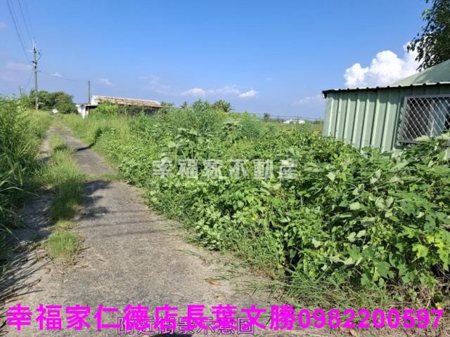 台南新化農地-5