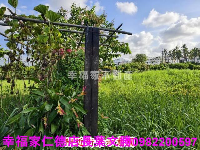 台南歸仁農地-15