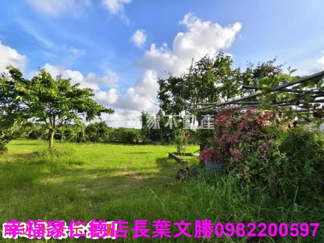 台南歸仁農地-8