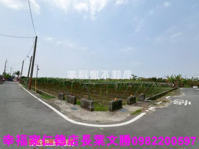 台南柳營農地-1