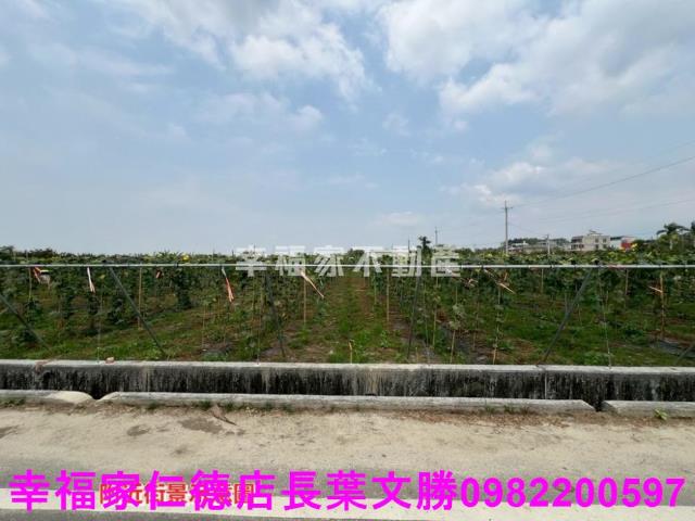 台南柳營農地-4