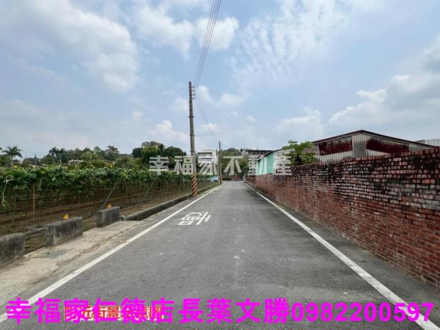 台南柳營農地-5