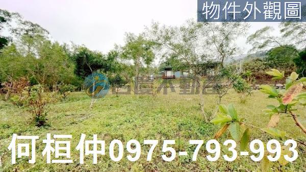 銅鑼農地-2