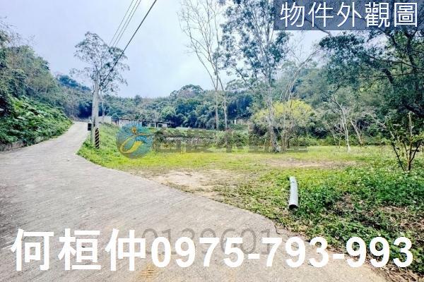 銅鑼農地-4