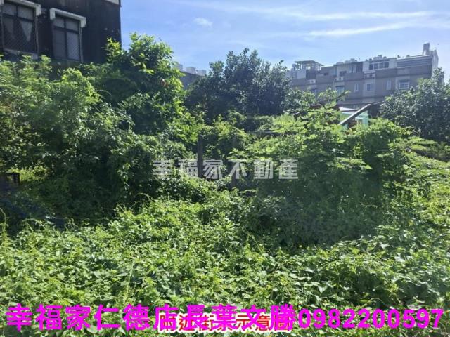 麻豆建地-11