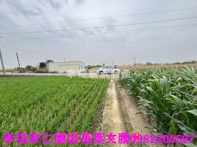 六甲農地-11