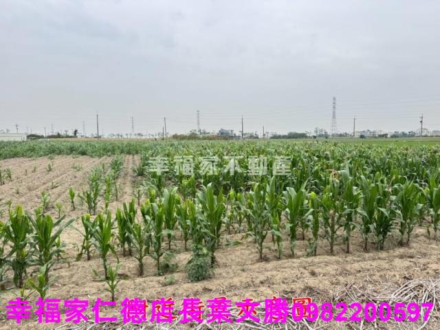 六甲農地-12