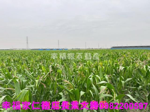 六甲農地-14