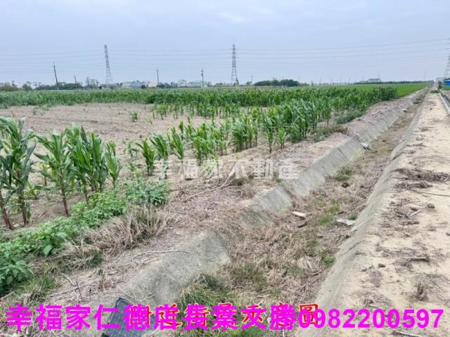 六甲農地-15