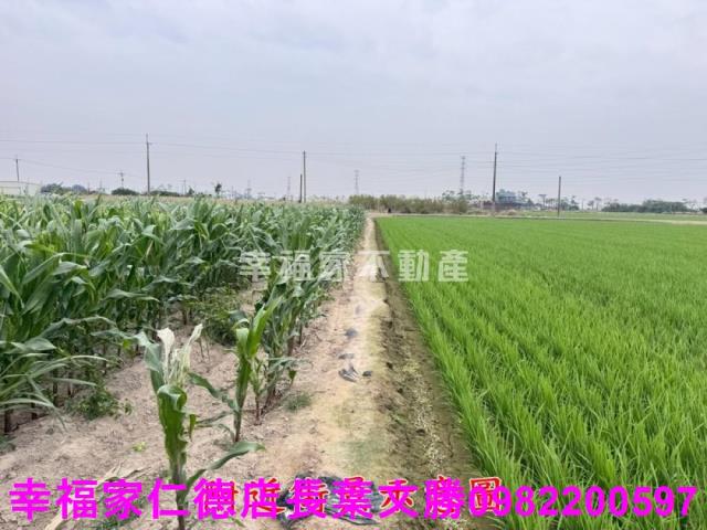 六甲農地-2