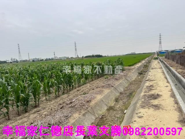 六甲農地-4