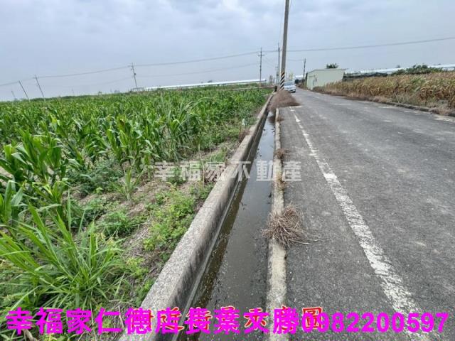 六甲農地-5