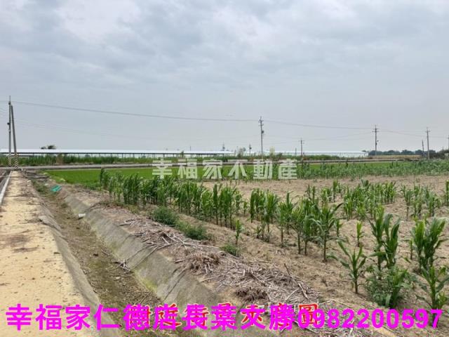 六甲農地-6