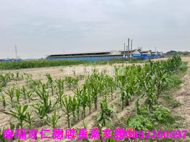 六甲農地-8
