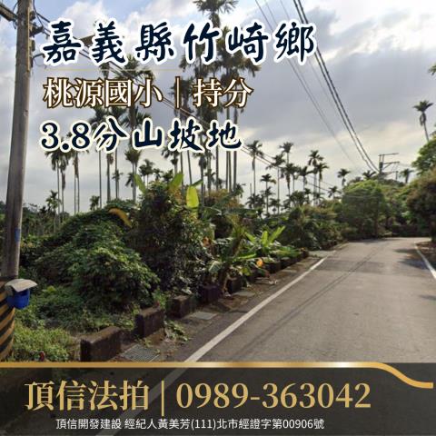 竹崎法拍農地_山坡地-2