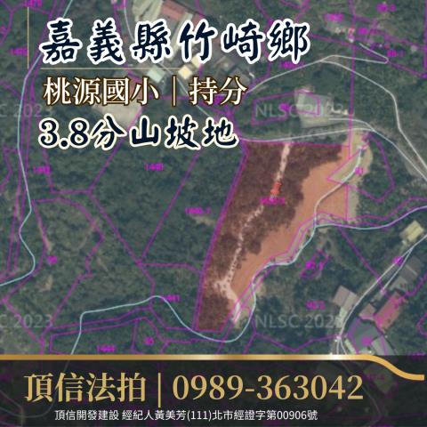 竹崎法拍農地_山坡地-3