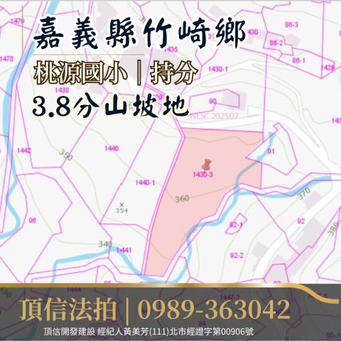 竹崎法拍農地_山坡地-4