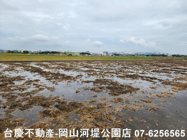 橋頭農地-11