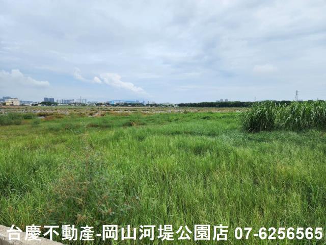 橋頭農地-4