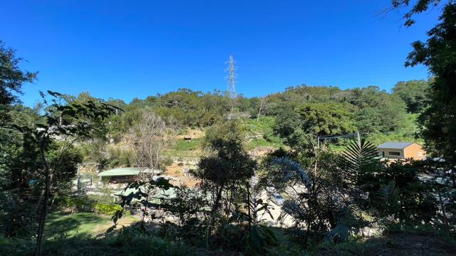 新竹山坡地_休閒地_林地-10