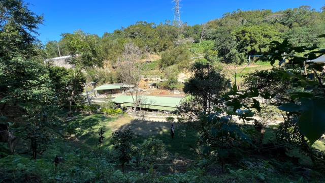 新竹山坡地_休閒地_林地-11