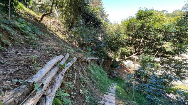 新竹山坡地_休閒地_林地-12