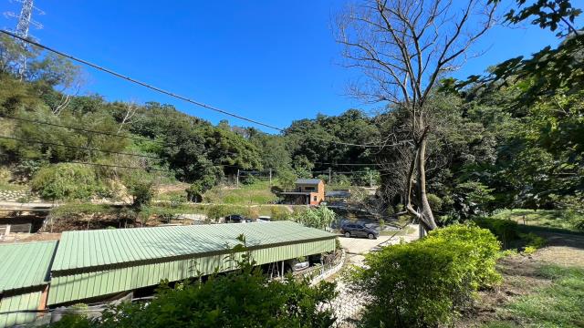 新竹山坡地_休閒地_林地-13