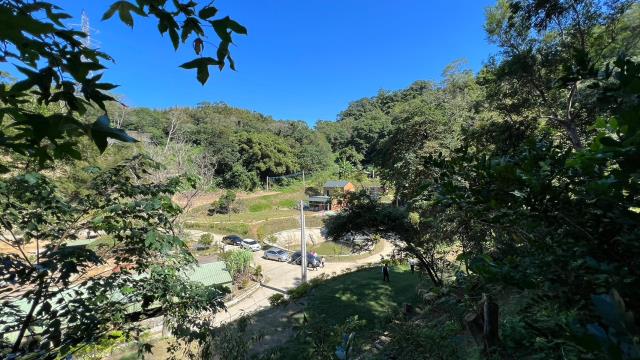 新竹山坡地_休閒地_林地-1