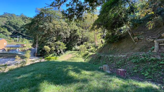 新竹山坡地_休閒地_林地-3