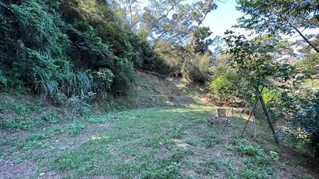 新竹山坡地_休閒地_林地-9